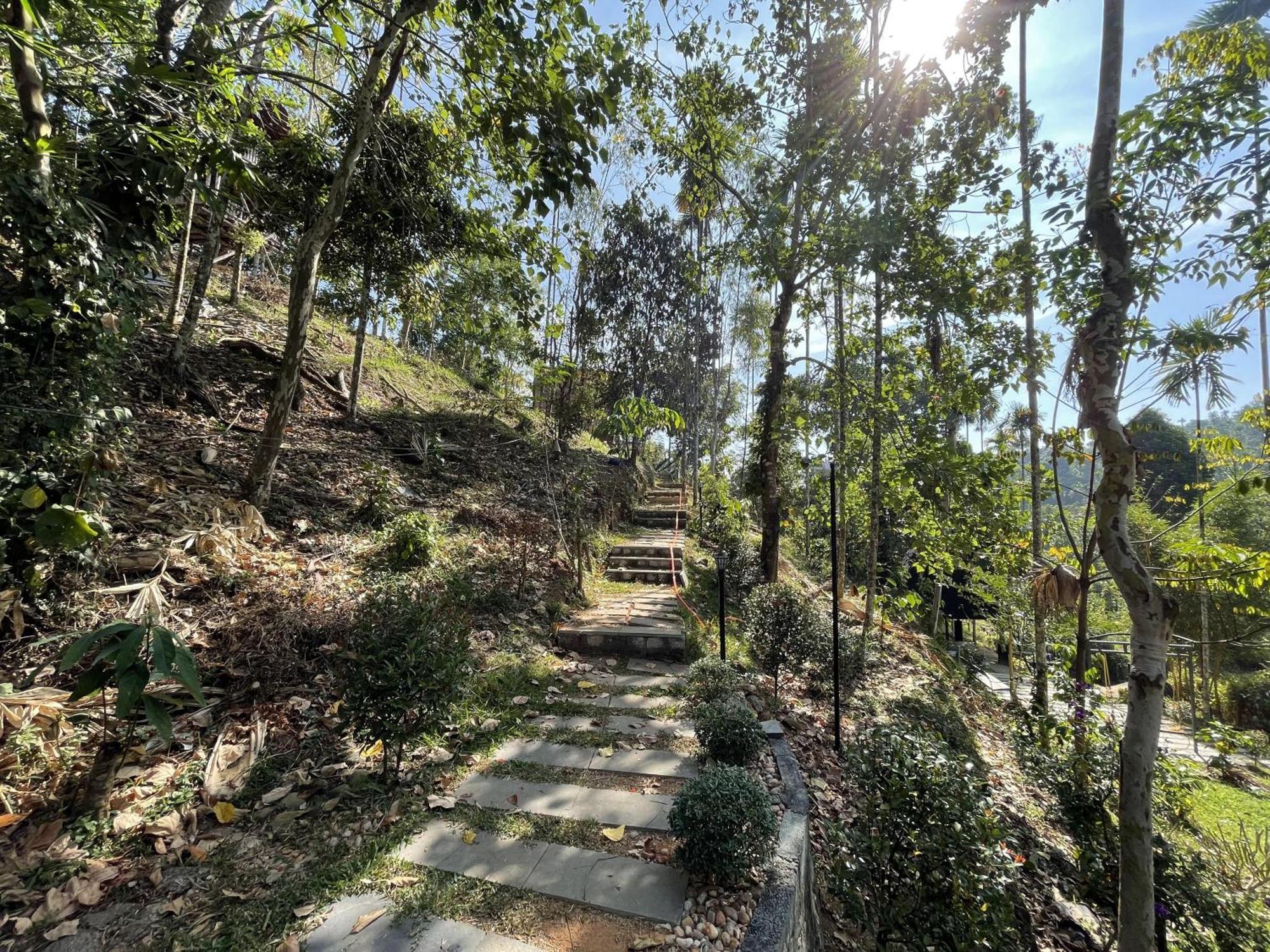 Wetlands Wayanad Pool Resort With Natural Waterfalls Padinjarathara Exterior foto